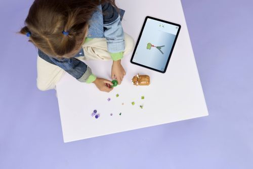 Set 31376