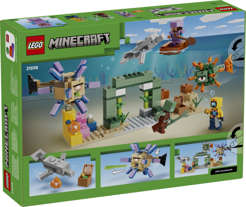 Set 21598