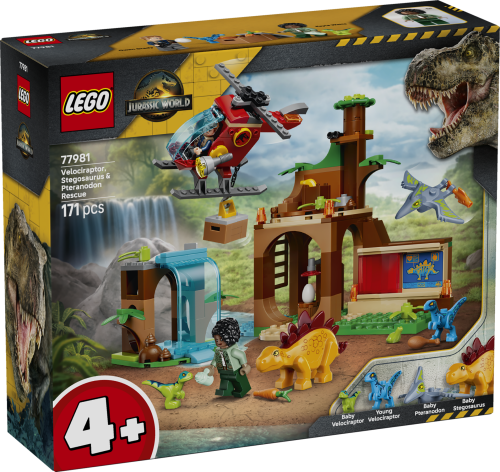 Set 77981