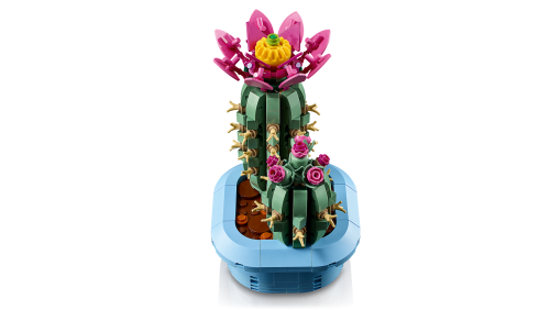 Set 11509