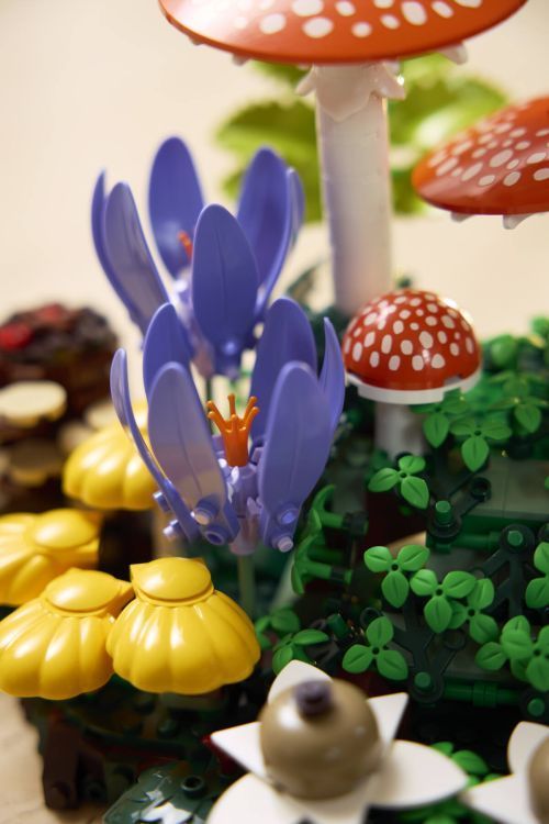 Set 11505