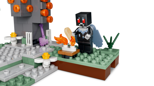 Set 21586