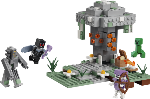 Set 21586