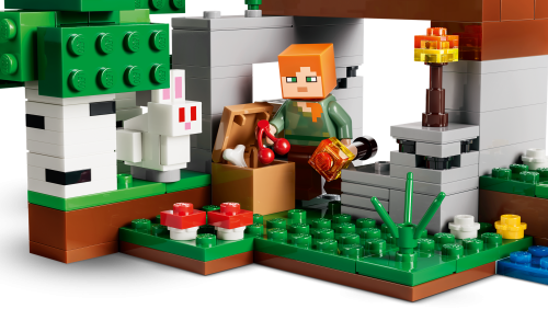 Set 21593