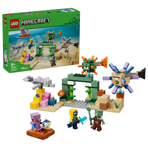 Set 21598