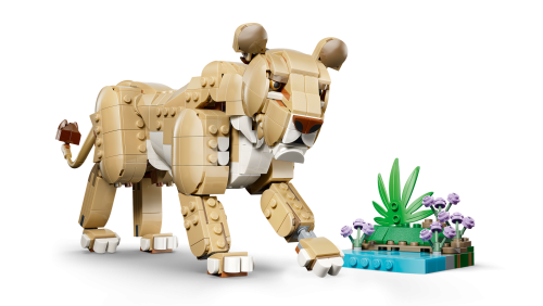 Set 31386