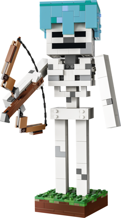Set 21594