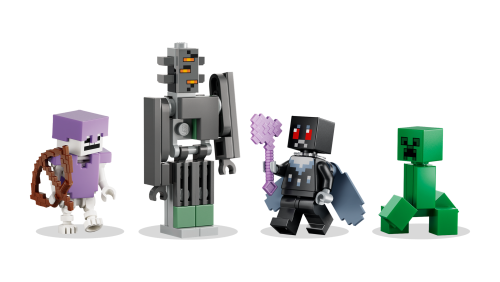 Set 21586