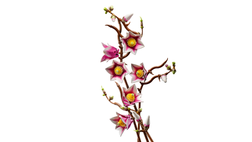 Set 11510