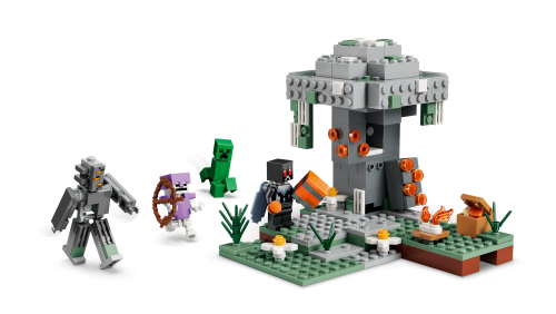 Set 21586