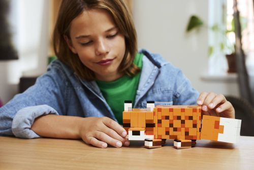 Set 21588