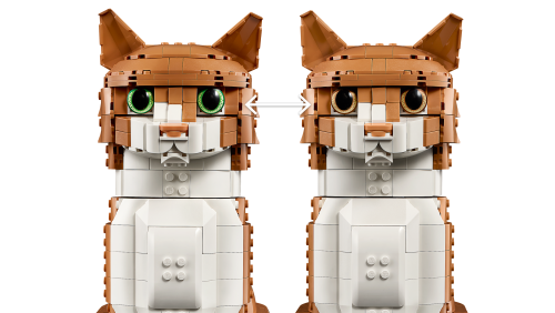 Set 21376