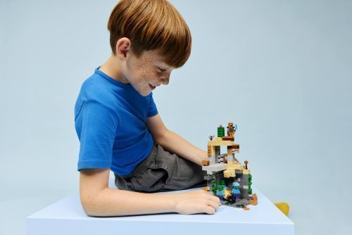 Set 21587