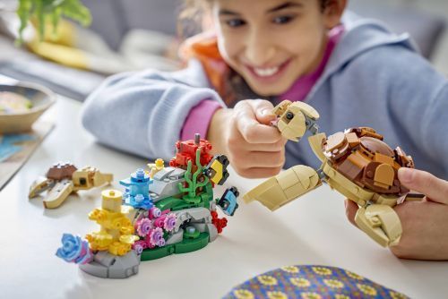 Set 31388