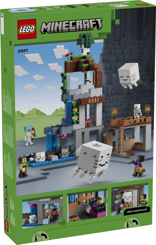 Set 21597
