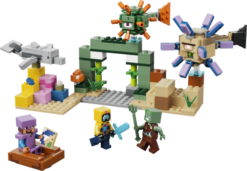 Set 21598