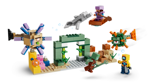 Set 21598