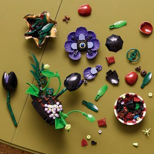 Set 11513