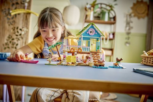 Set 42699