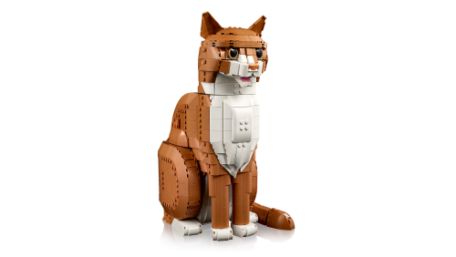 Set 21376