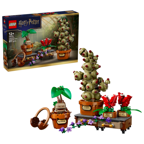 Set 76474